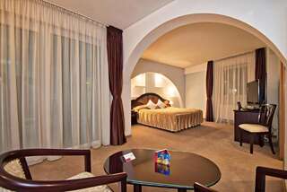 Отель Hotel Ambient Брашов Представительский двухместный номер с 1 кроватью – 4 звезды-1